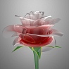 Аватар для Rozy
